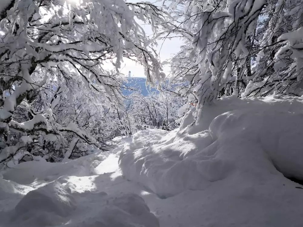 Maison de Vacances Jeansagnière 4