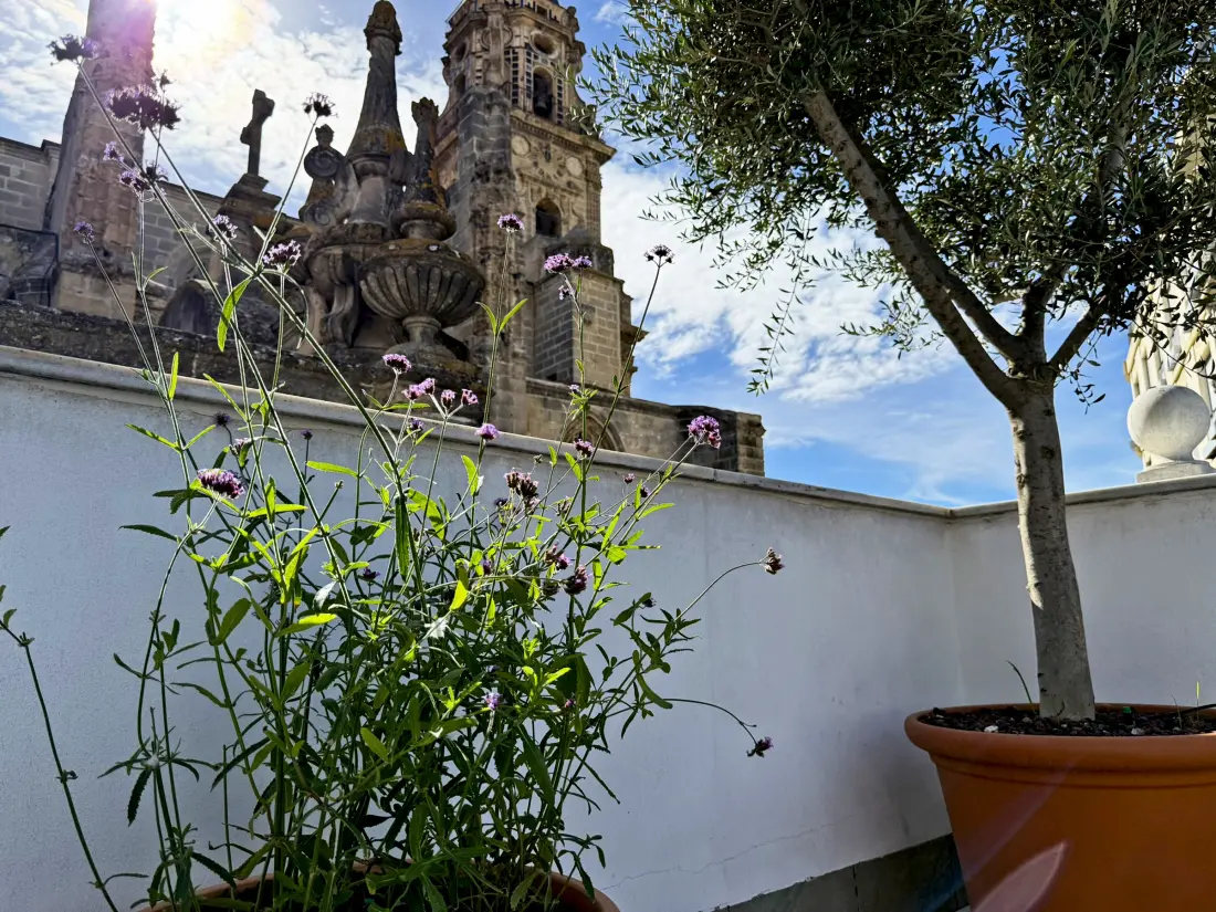 Location de Vacances Jerez de la Frontera 28