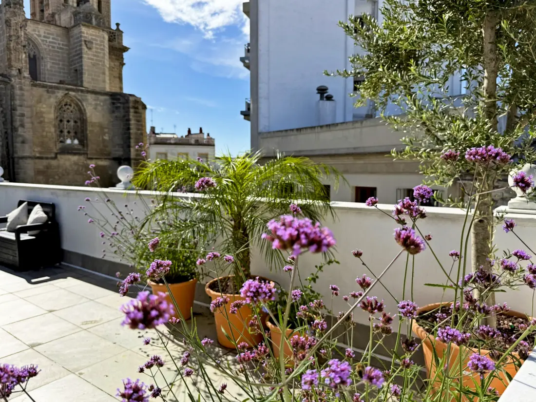 Location de Vacances Jerez de la Frontera 28