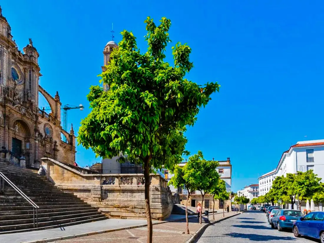 Location de Vacances Jerez de la Frontera 29