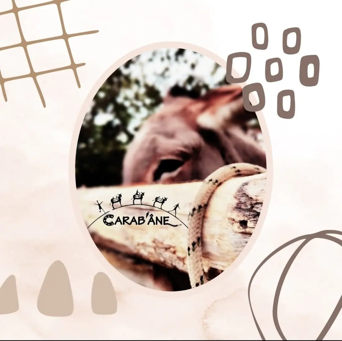 Camping Le Roubreau 3 étoiles★★★