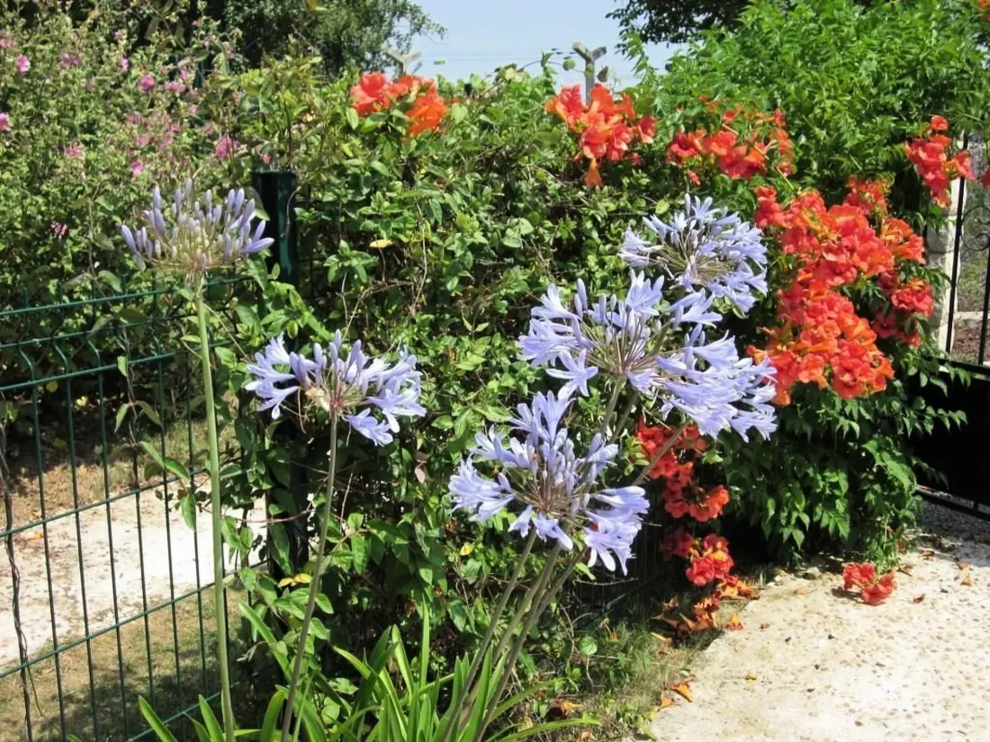 Maison de Vacances Jonzac