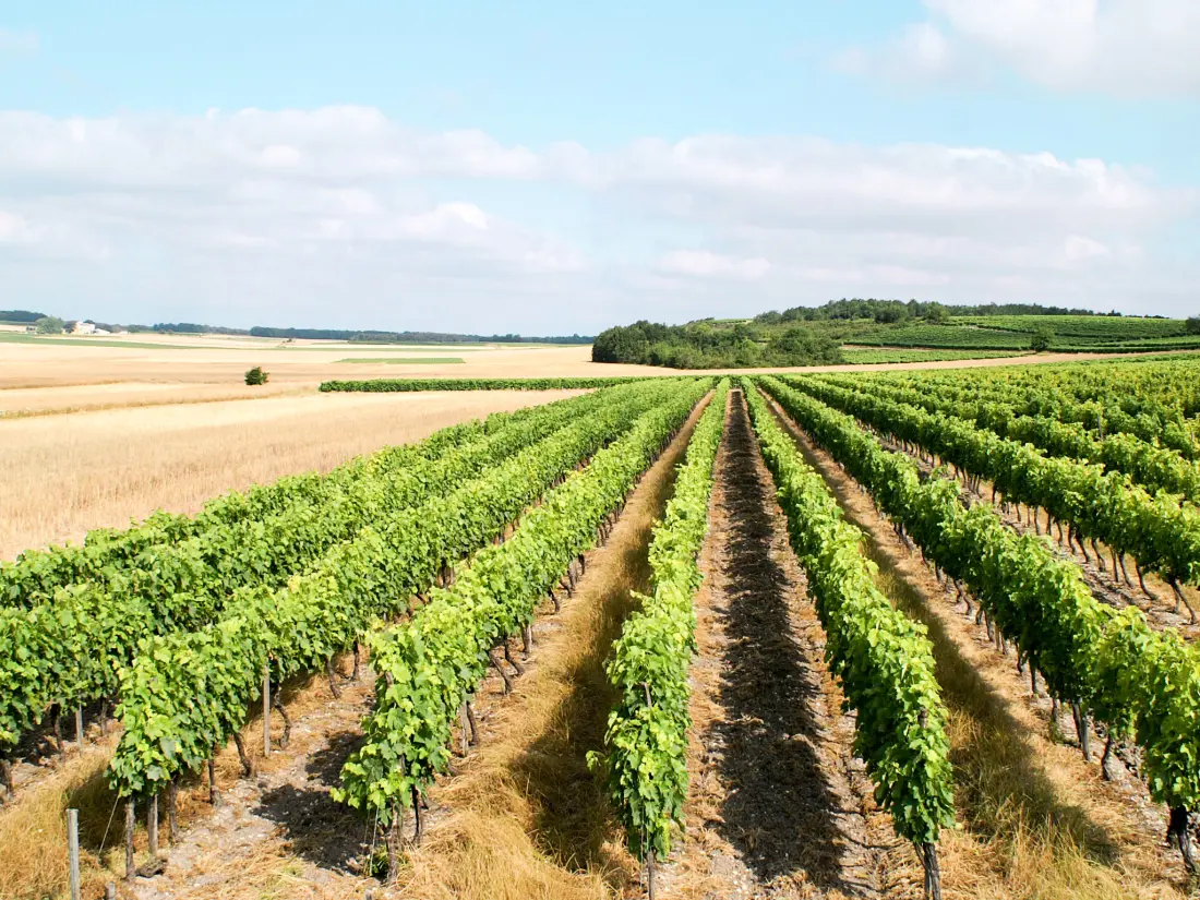 Résidence Les Coteaux de Jonzac