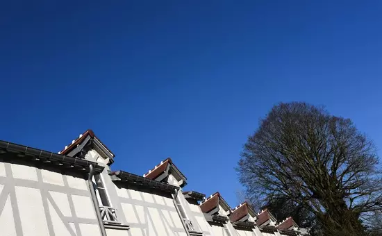 Hotel Auberge du Cheval Blanc
