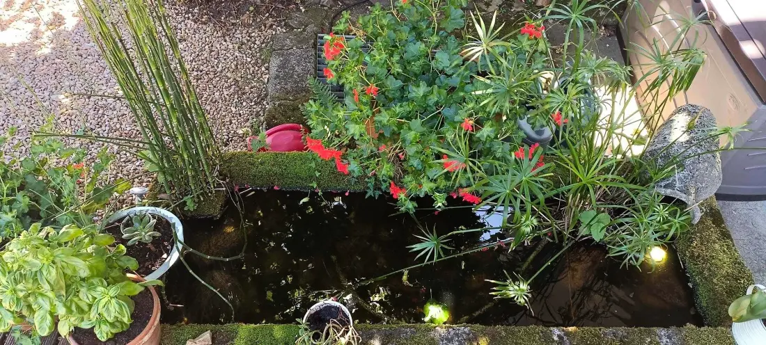 Gîte de France Les eglantiers 4 épis