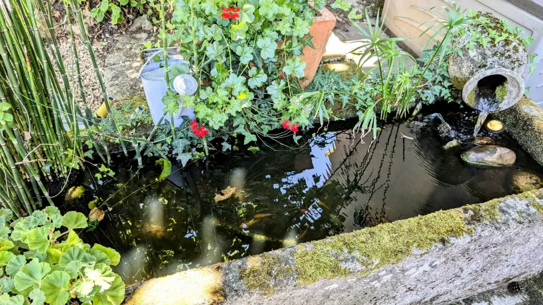 Gîte de France Les eglantiers 4 épis