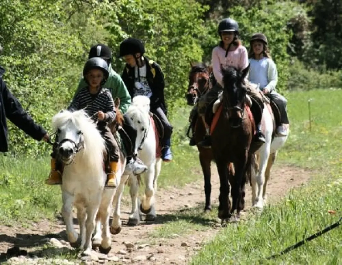 CAMPING LES CHATAIGNIERS 2 étoiles★★