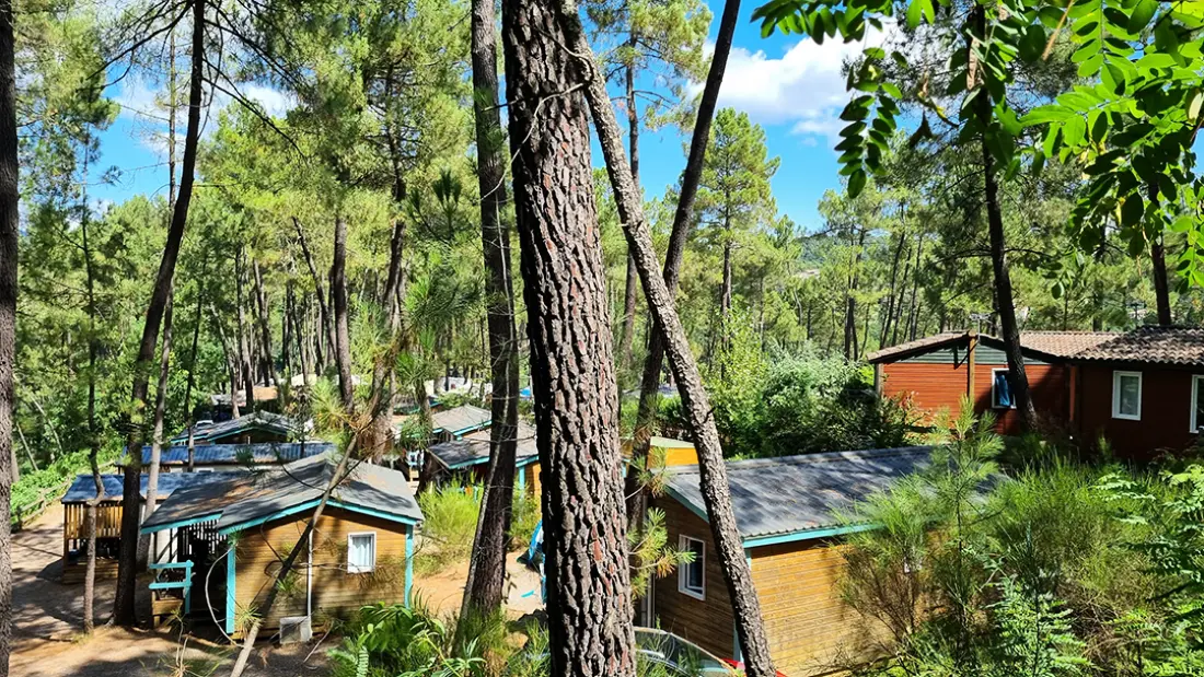 Camping Paradis Bois Simonet 4 étoiles★★★★