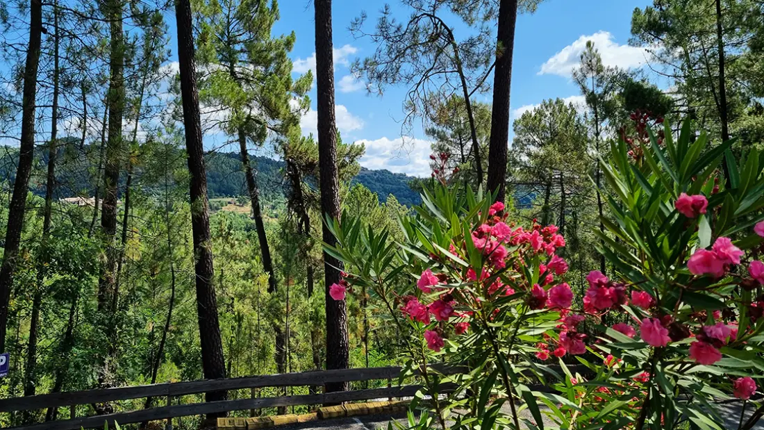Camping Paradis Bois Simonet 4 étoiles★★★★