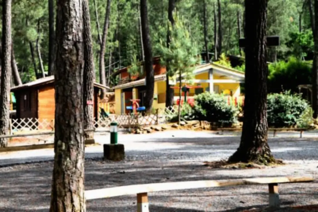 Camping Paradis Bois Simonet 4 étoiles★★★★