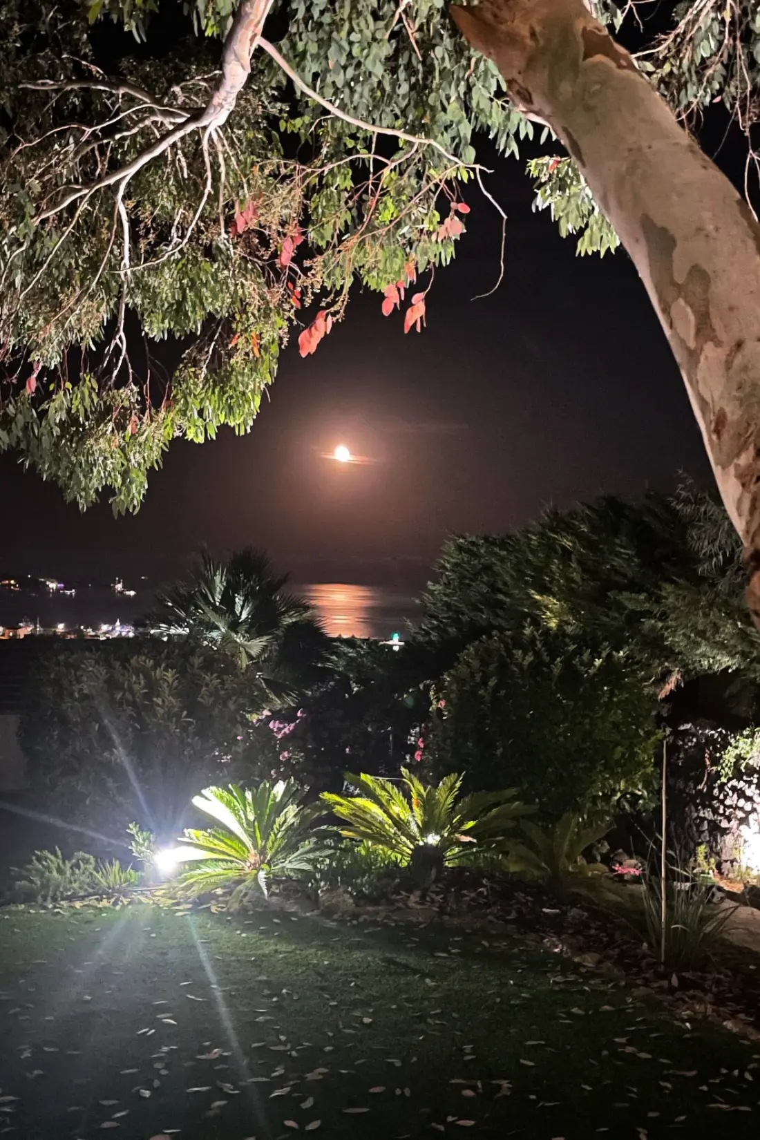 Maison de Vacances Golfe Juan