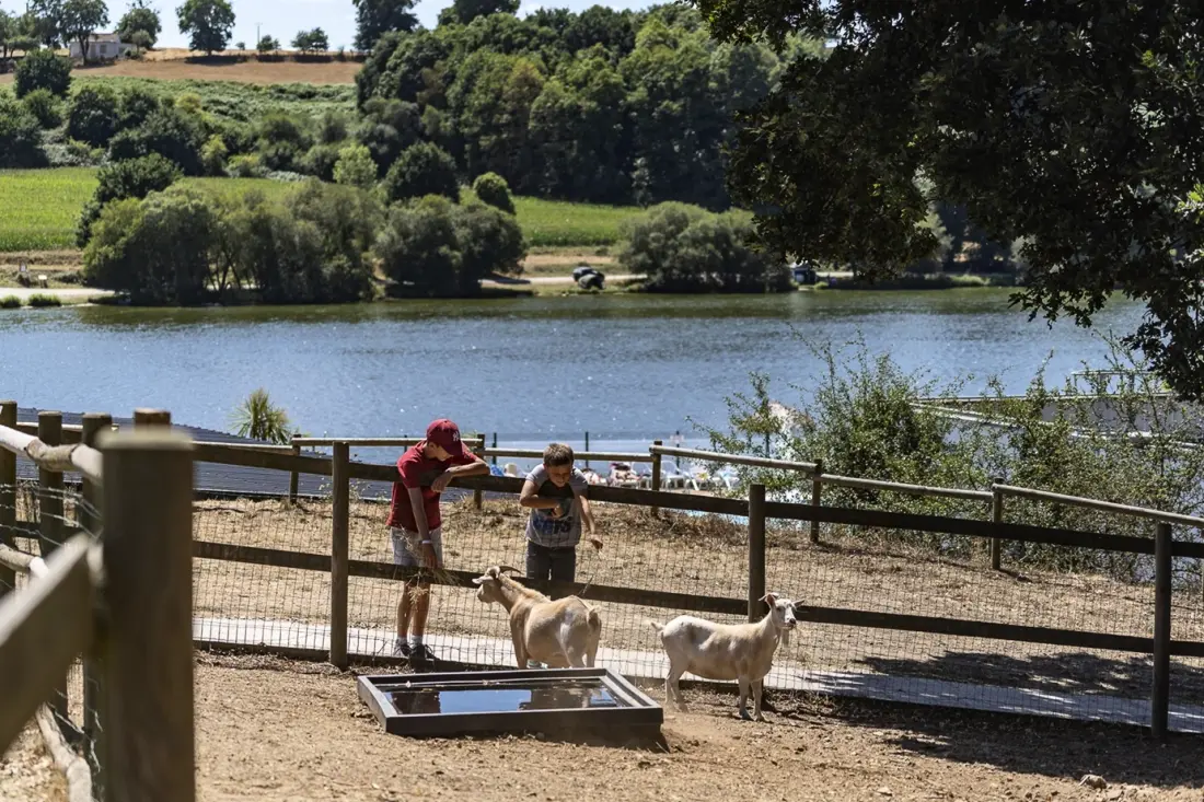 Camping Au Bocage du Lac 41 étoiles★