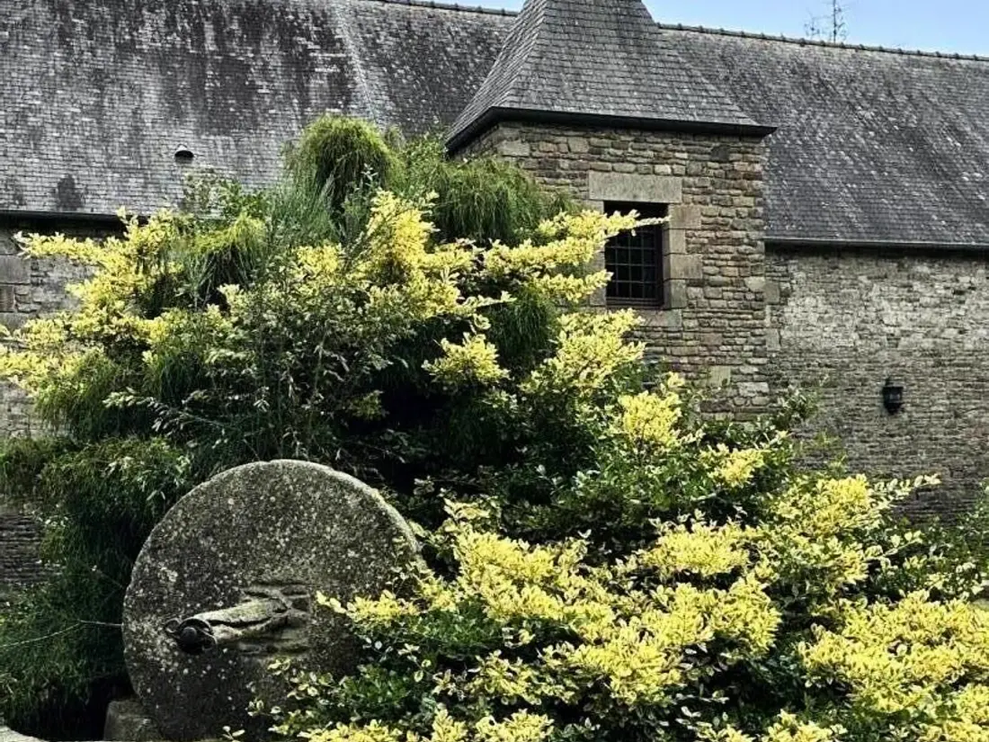 Maison de Vacances JUILLEY