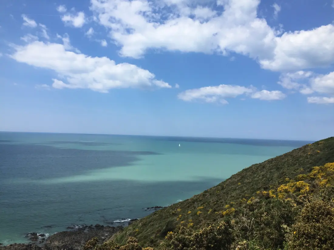 Location de Vacances Jullouville 394