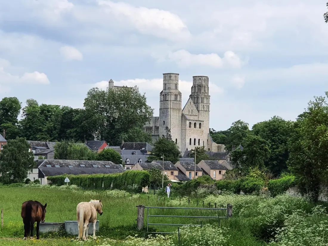 Gîte de France Gîtes de france® - le petit gîte du loup vert 3 épis