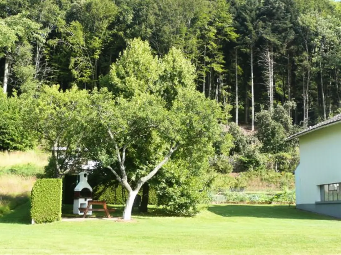 Maison de Vacances Jussarupt 4