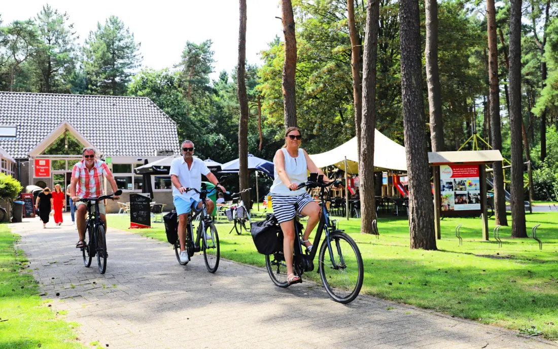 Camping Kempen 4 étoiles★★★★
