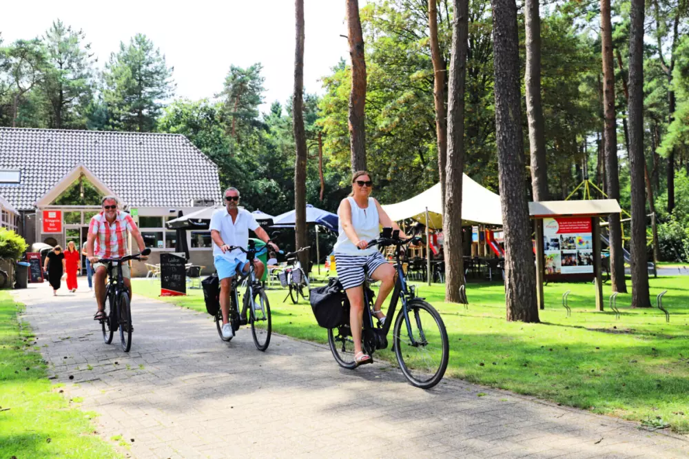 Camping Kempen 4 étoiles★★★★