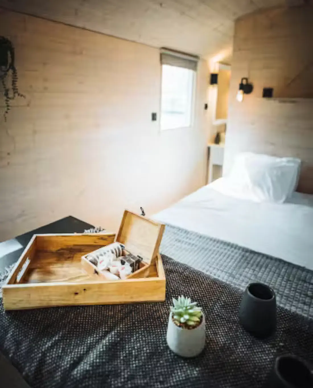 Papillon Kinrooi 3 étoiles★★★