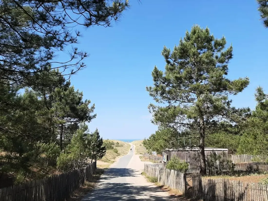 Flower Camping Le Pré des Sables 3 étoiles★★★