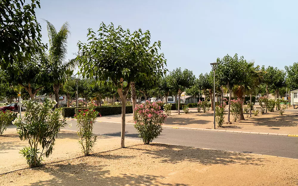 Camping Almafra 4 étoiles★★★★