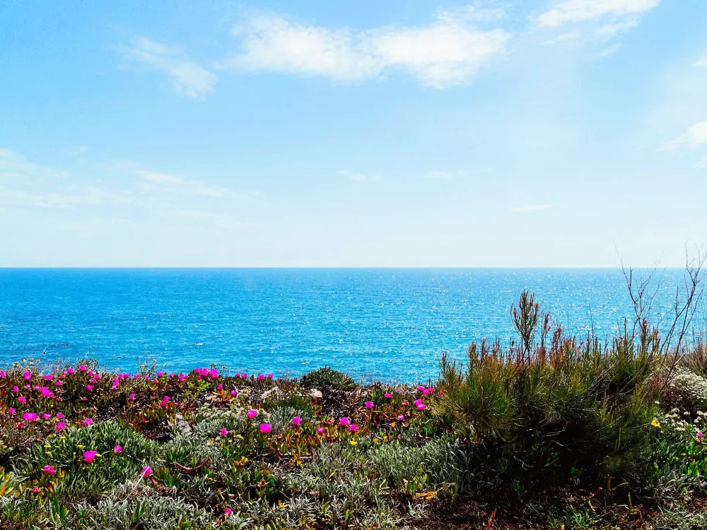 Location de Vacances L'Ametlla de Mar 210