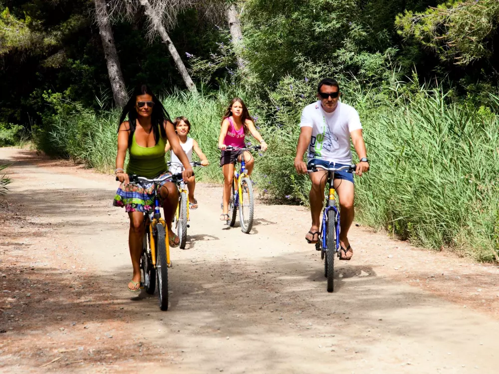 Location de Vacances L'Ametlla de Mar 210