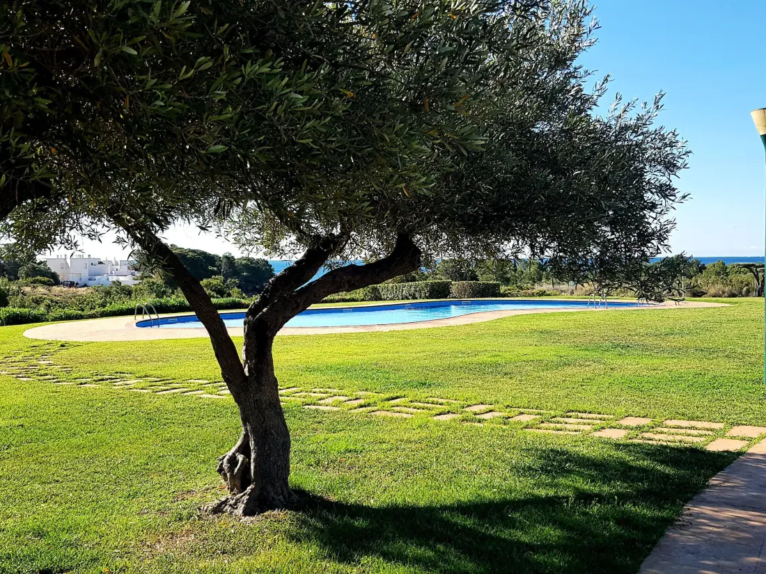 Location de Vacances L'Ametlla de Mar 214