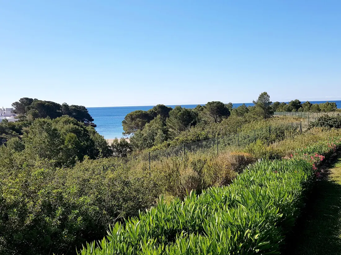 Location de Vacances L'Ametlla de Mar 214