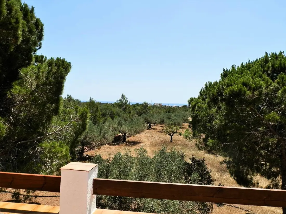 Maison de Vacances L'Ametlla de Mar 154