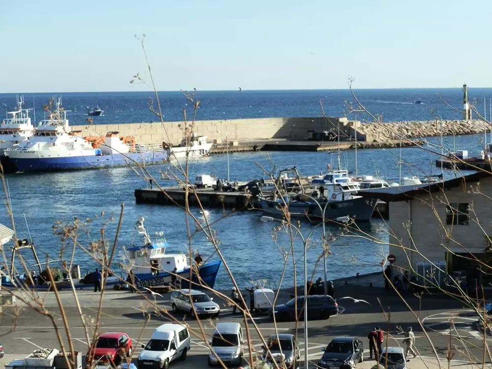 Maison de Vacances L'Ametlla de Mar 156