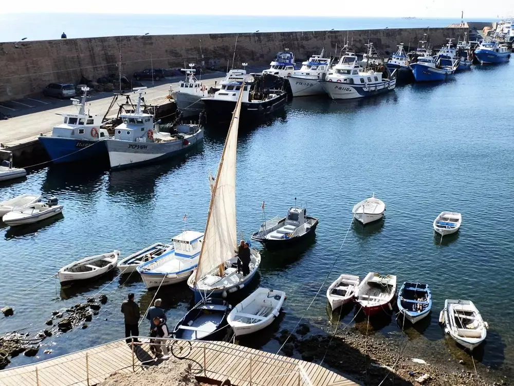 Maison de Vacances L'Ametlla de Mar 156