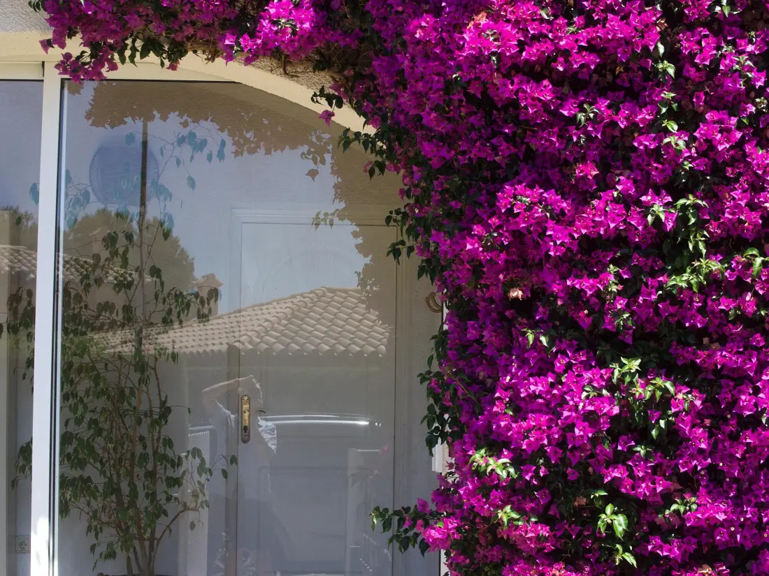 Maison de Vacances L'Ametlla de Mar 303