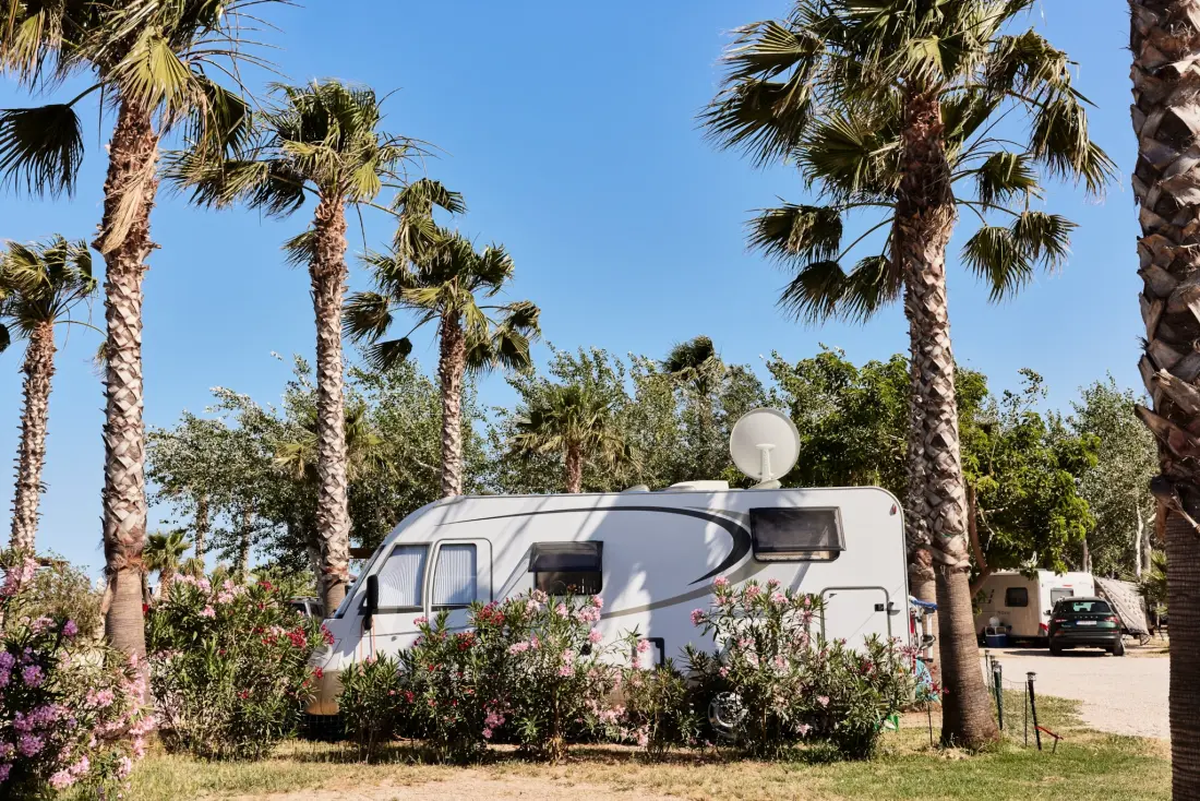 Camping Taiga Delta de l'Ebre 4 étoiles★★★★