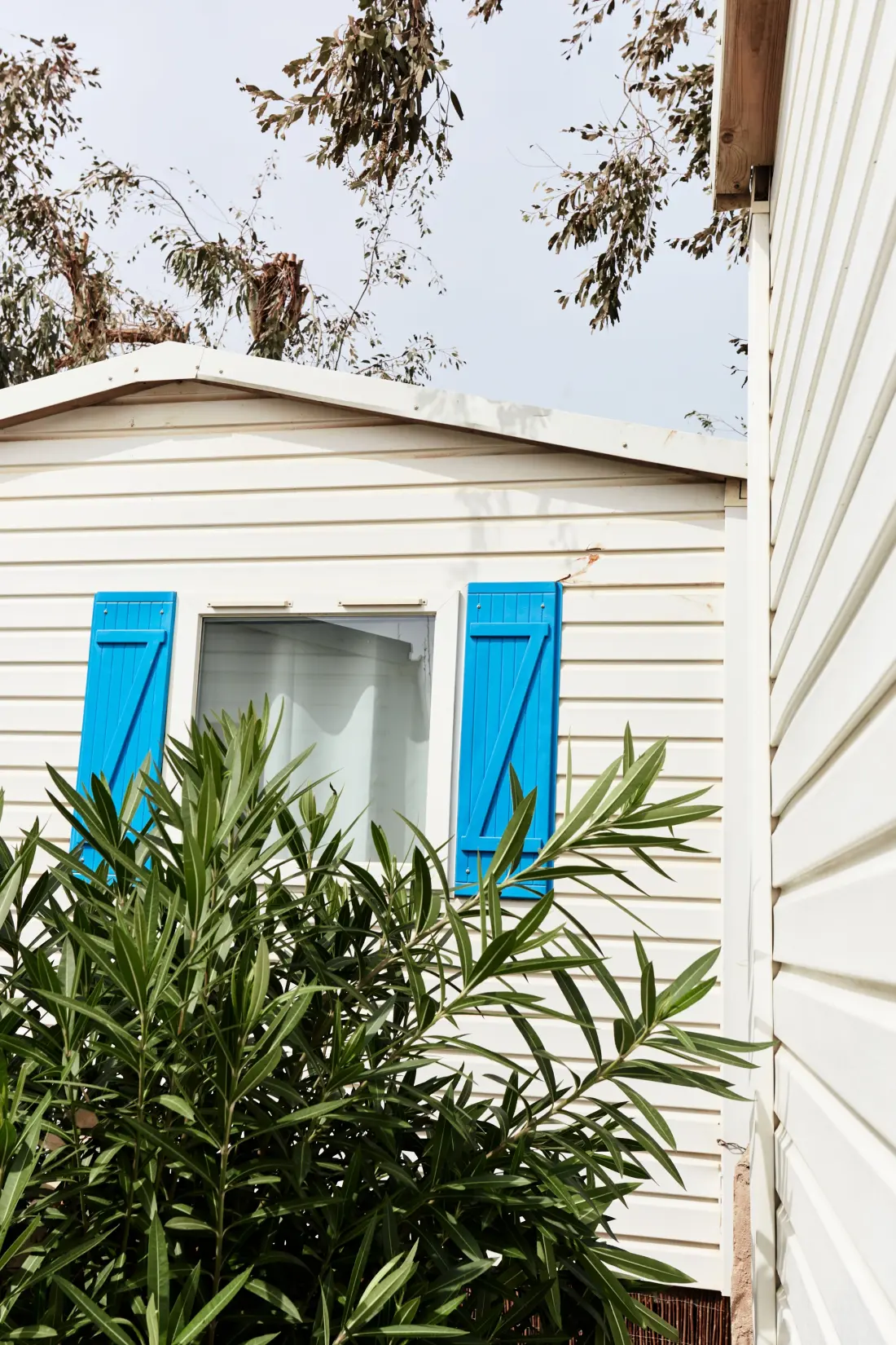 Camping Taiga Delta de l'Ebre 4 étoiles★★★★