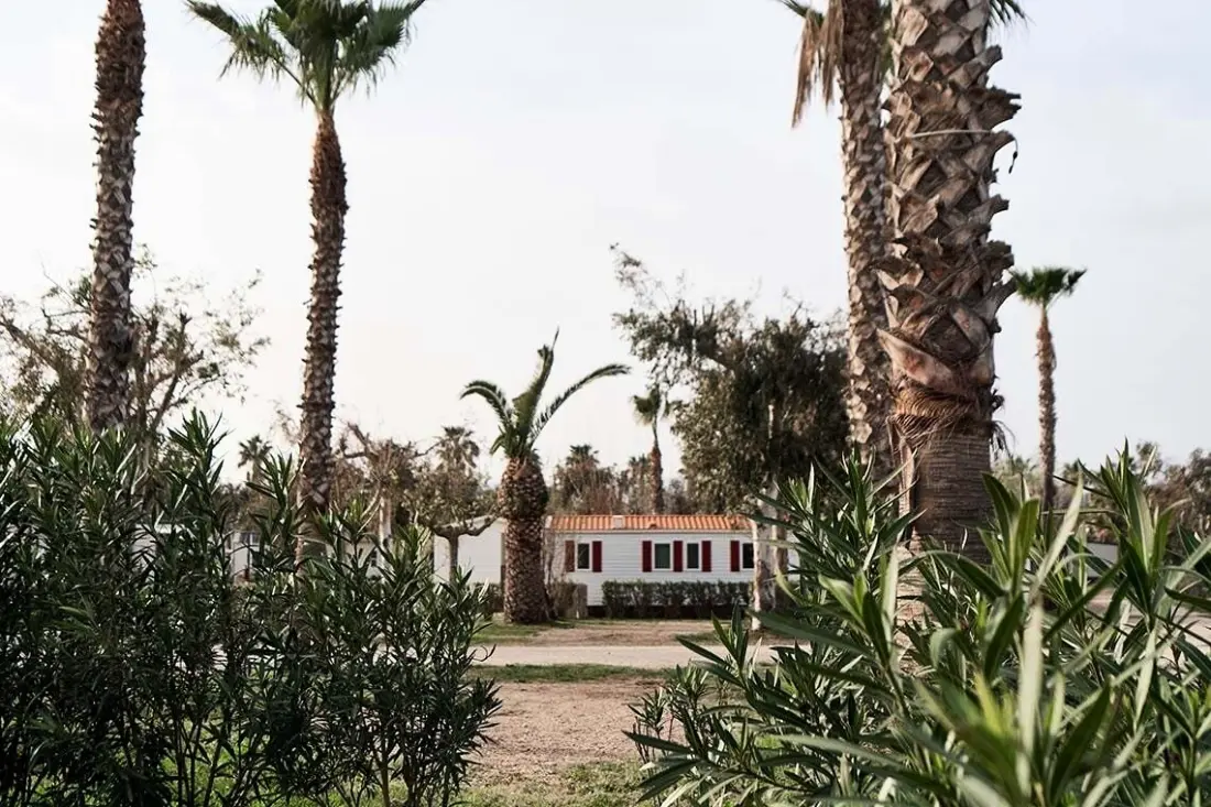 Camping Taiga Delta de l'Ebre 4 étoiles★★★★