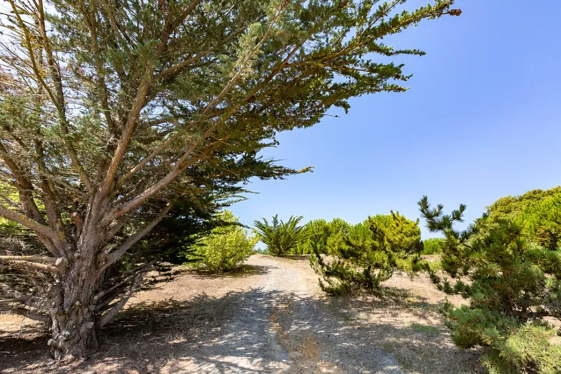 Camping Sandaya de la Bosse2 étoiles★★