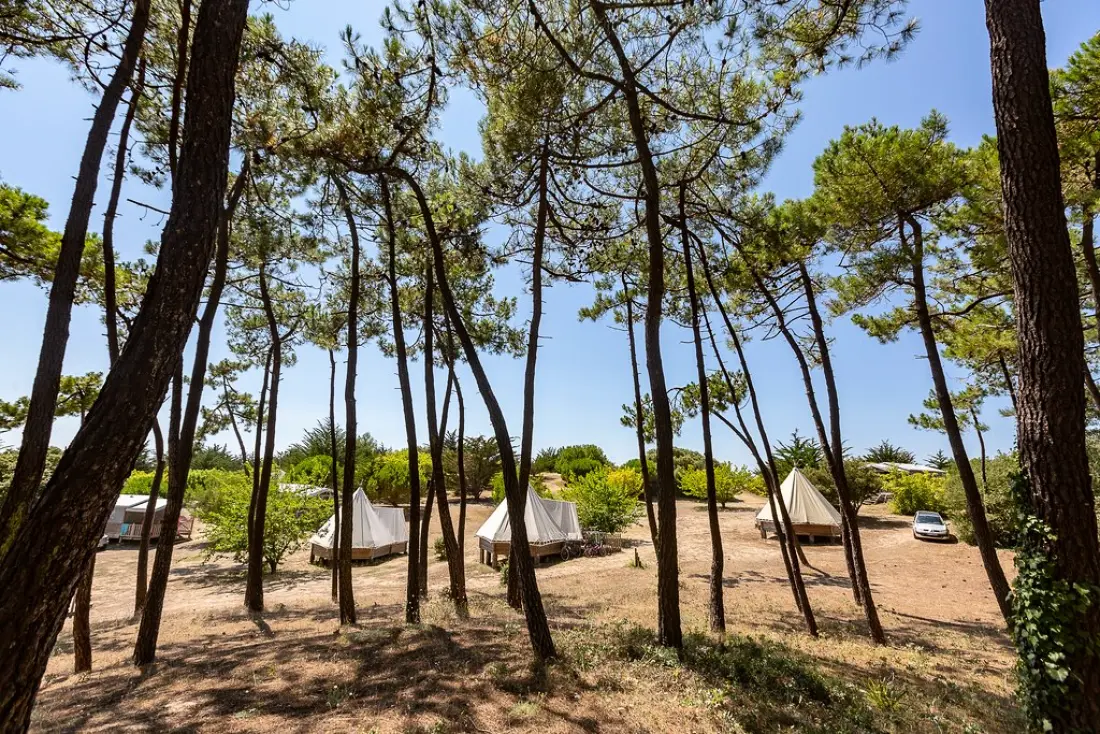Camping Sandaya de la Bosse2 étoiles★★