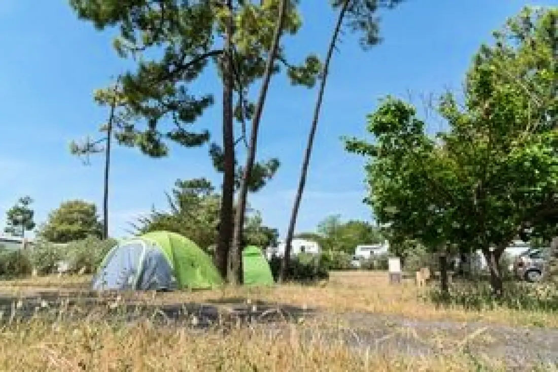 Camping Sandaya de la Bosse2 étoiles★★