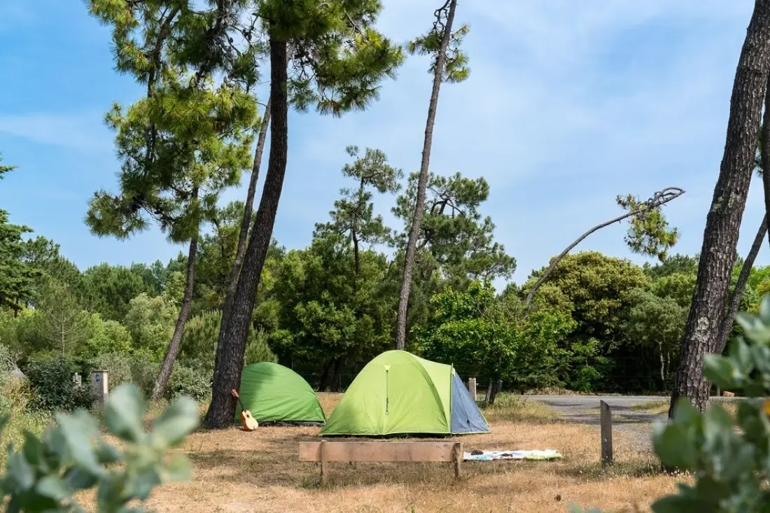 Camping Sandaya de la Bosse2 étoiles★★