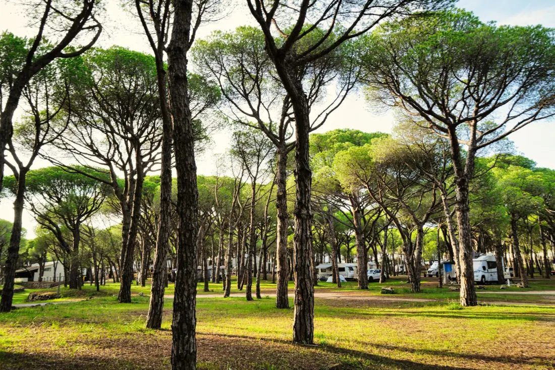 Wecamp Cala Montgó 4 étoiles★★★★