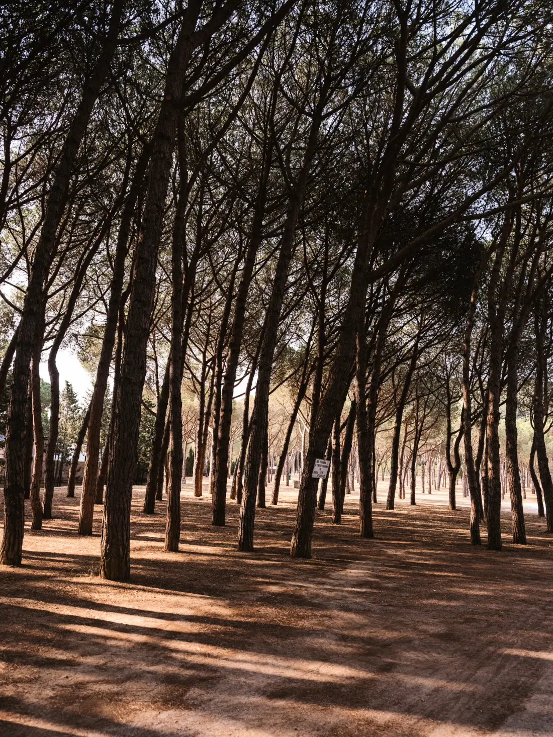 Wecamp Cala Montgó 4 étoiles★★★★