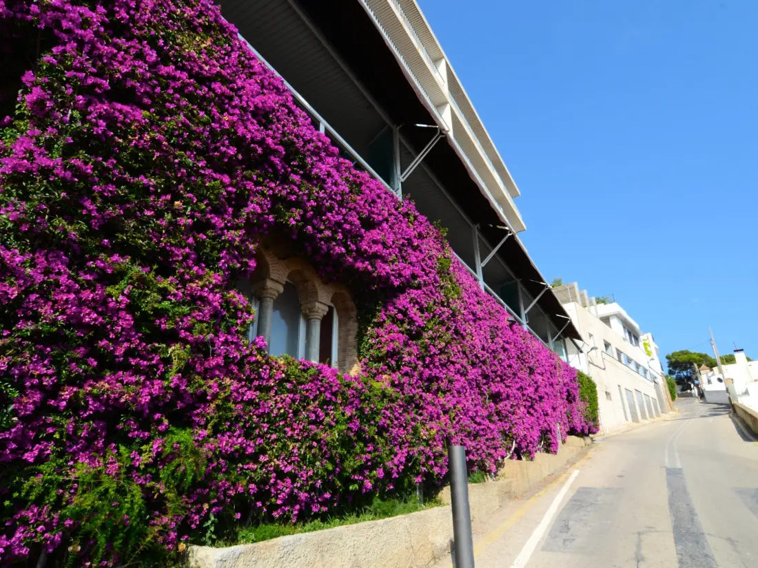 Location de Vacances L'Estartit 270