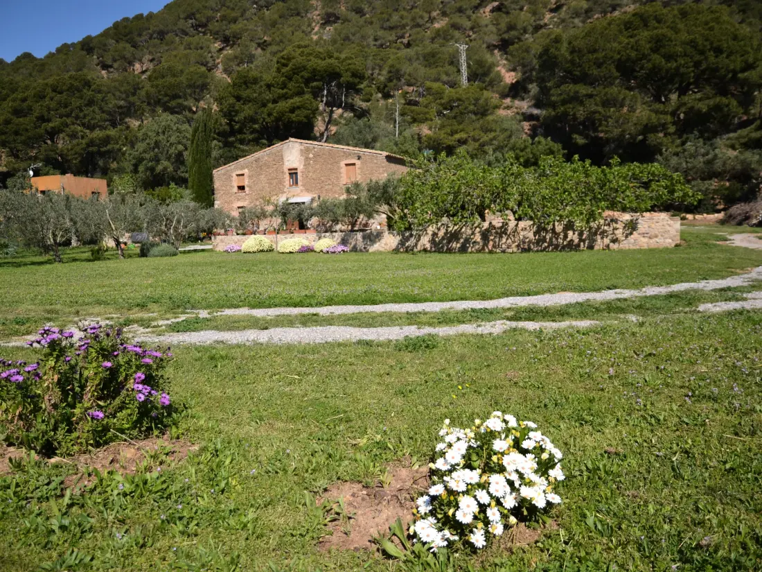 Location de Vacances L'Estartit 67