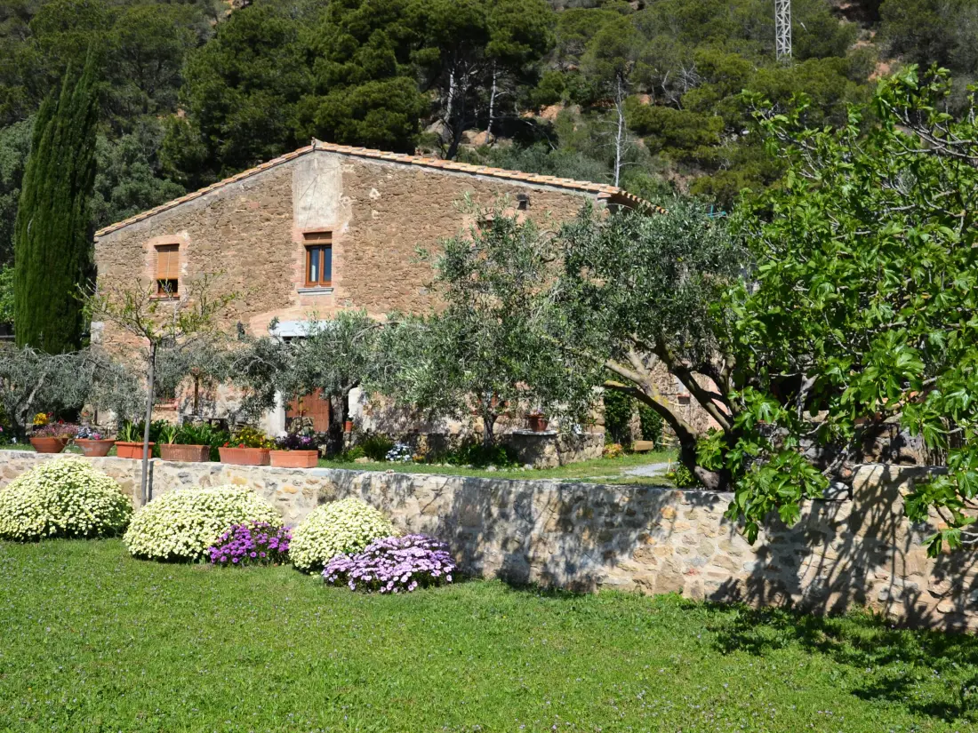 Location de Vacances L'Estartit 67
