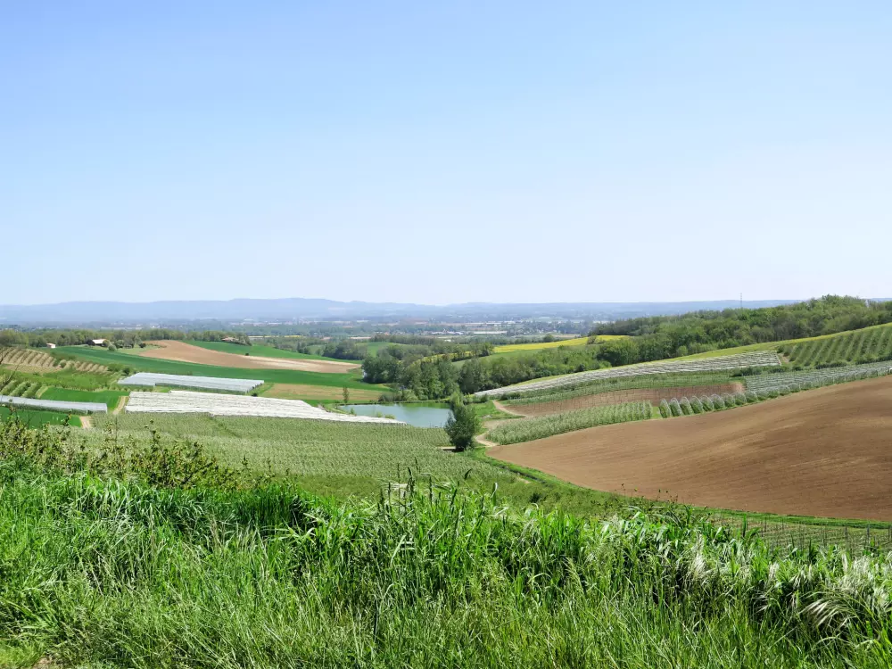 Maison de Vacances L'Honor-de-Cos