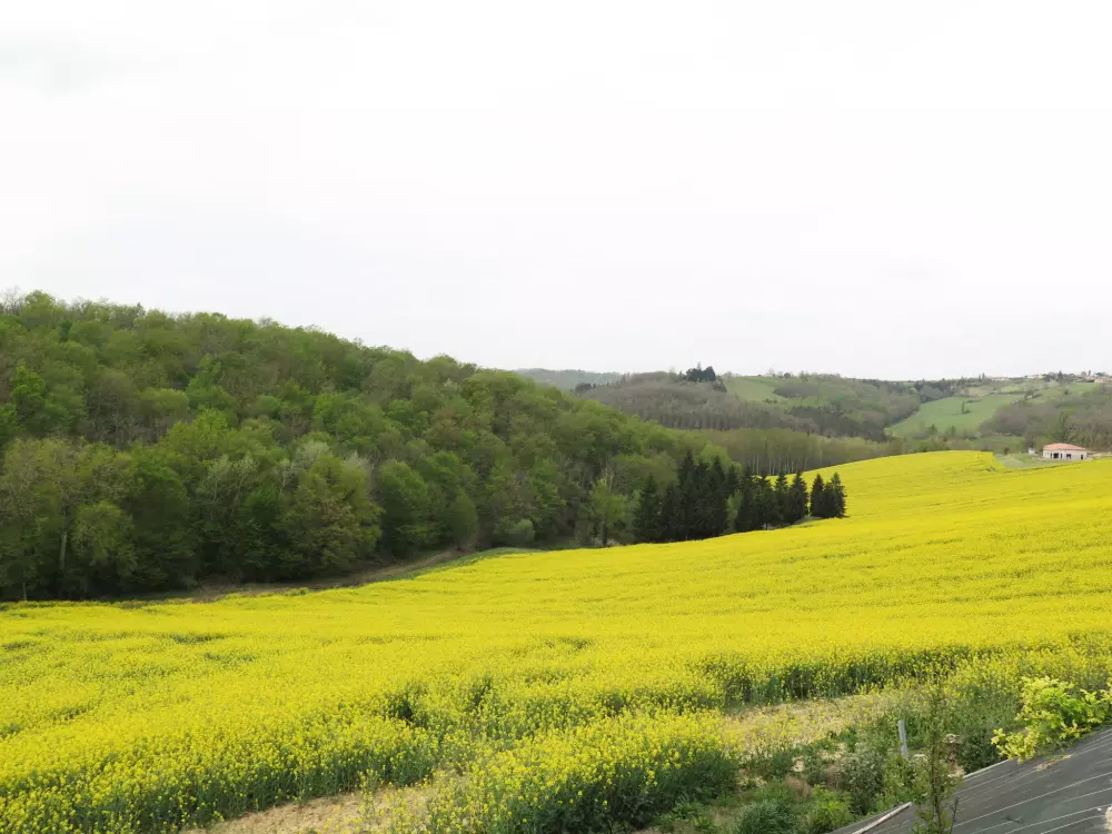 Maison de Vacances L'Honor-de-Cos