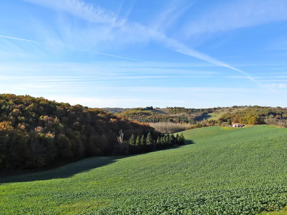 Maison de Vacances L'Honor-de-Cos