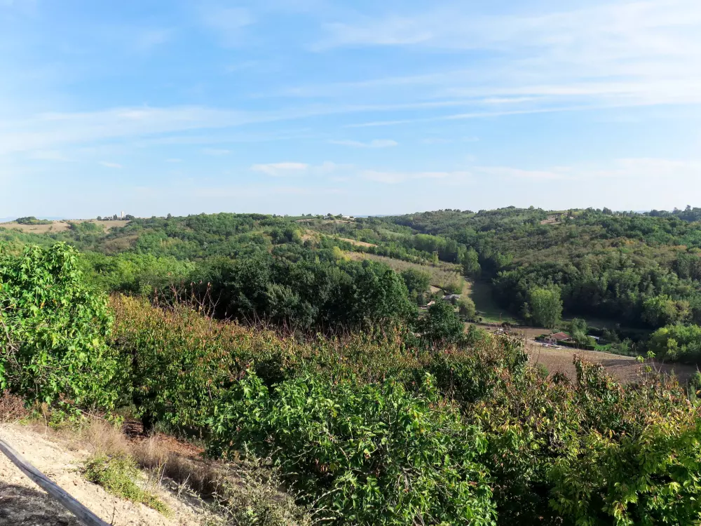 Maison de Vacances L'Honor-de-Cos