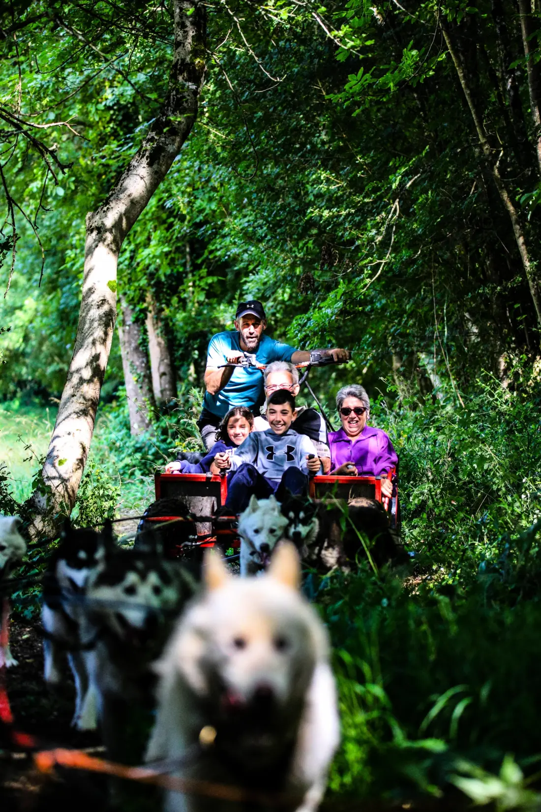Camping l'Arize 4 étoiles★★★★